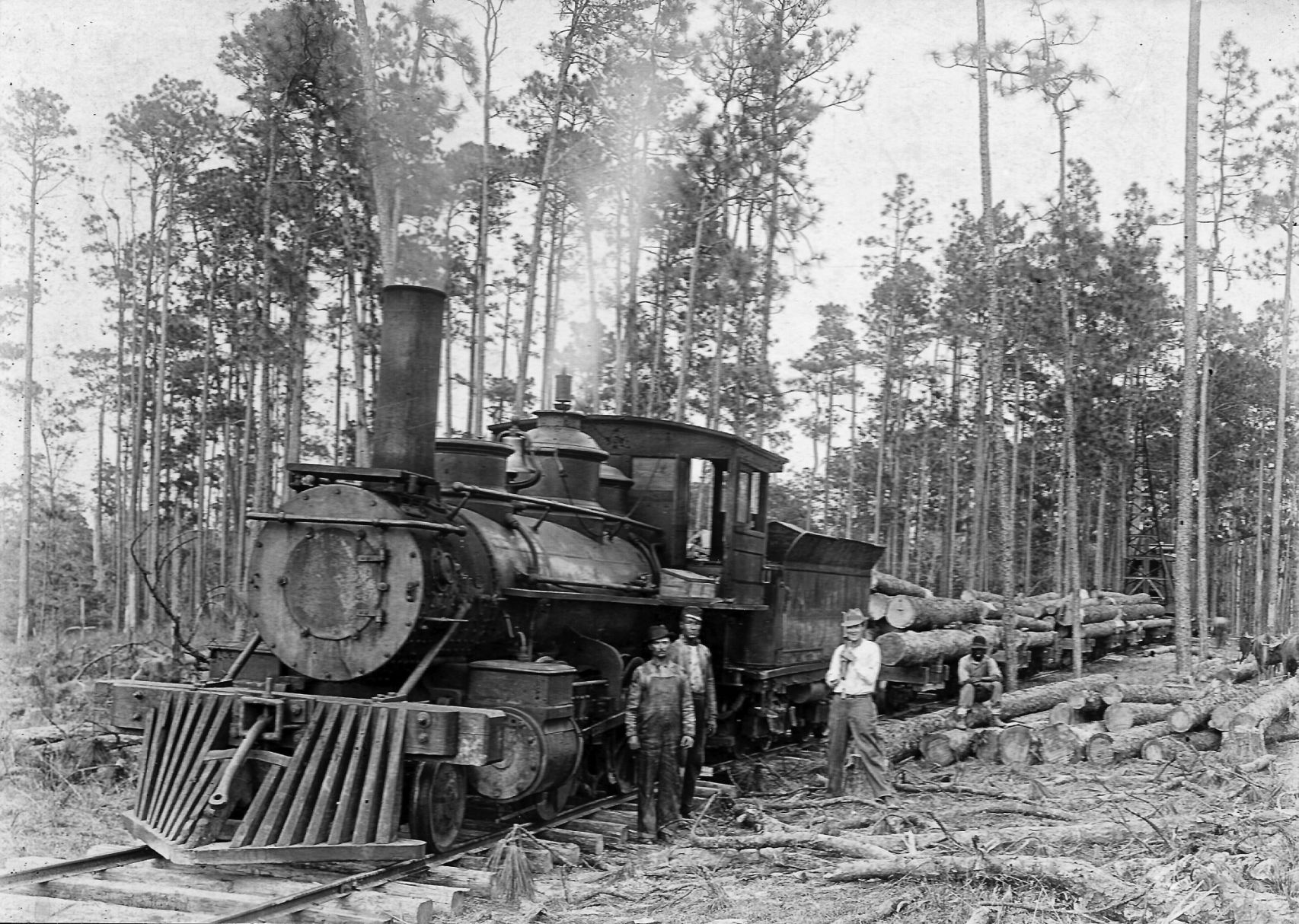 WHEN LOGGING WAS KING Prolific Adirondack author explores ‘Adirondack Timber Cruising,’ other logging tales
